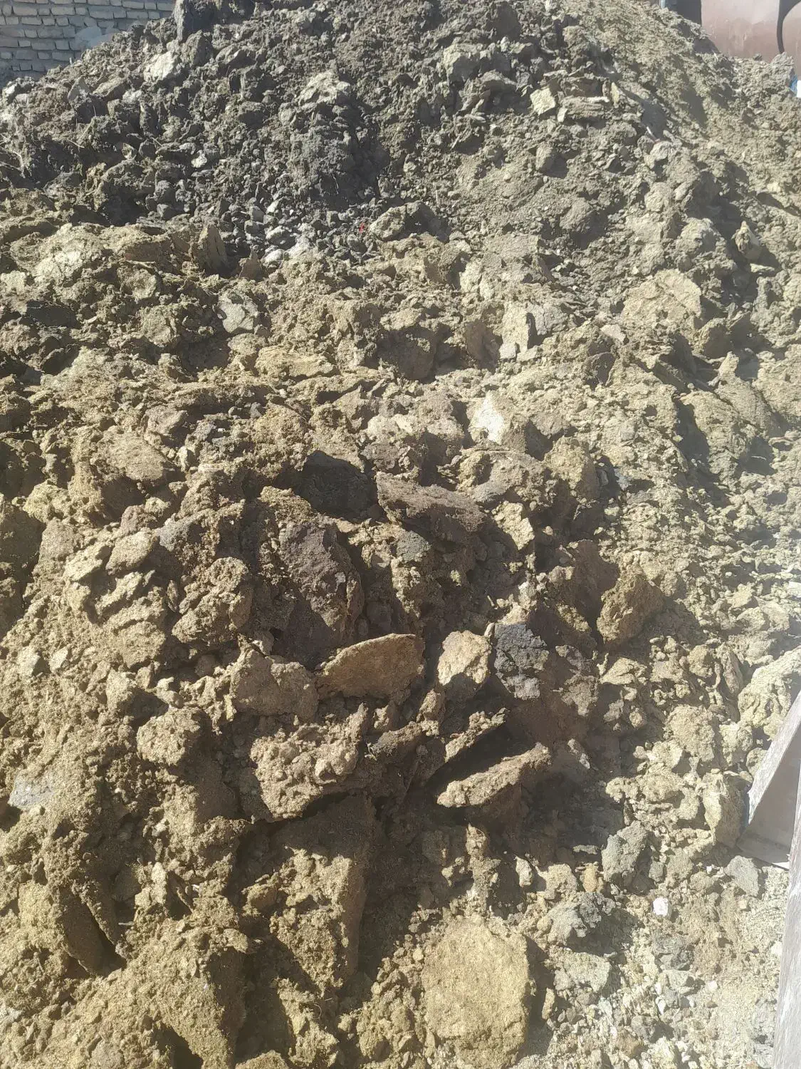 کود گاوی|لوازم جانبی حیوانات|درودزن, |دیوار