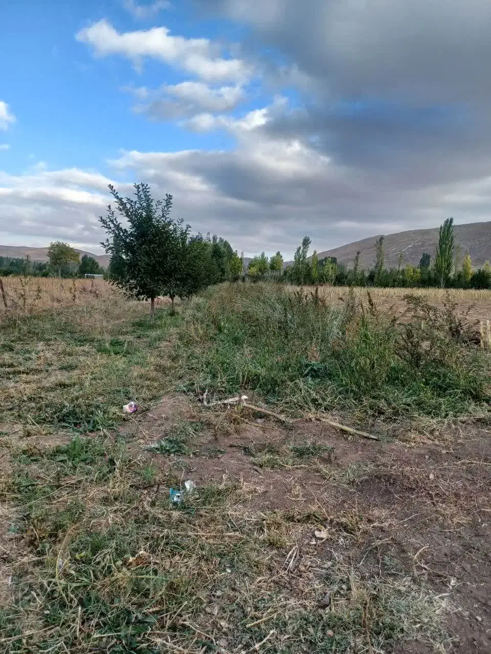 زمین کشاورزی کلوانس|فروش زمین و ملک کلنگی|صفائیه, |دیوار