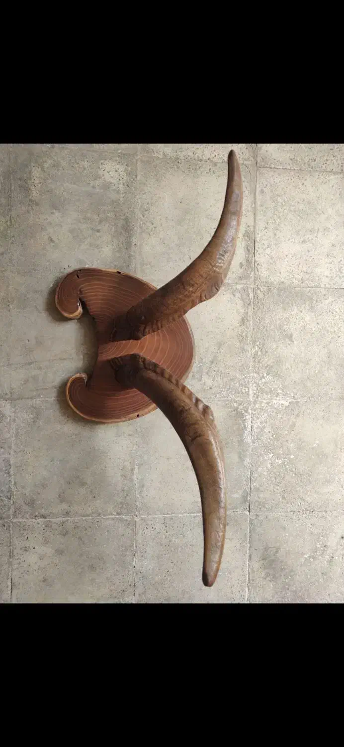 شاخه بز کوهی|صنایع دستی و سایر لوازم تزئینی|هشتگرد, شهرک بعثت|دیوار