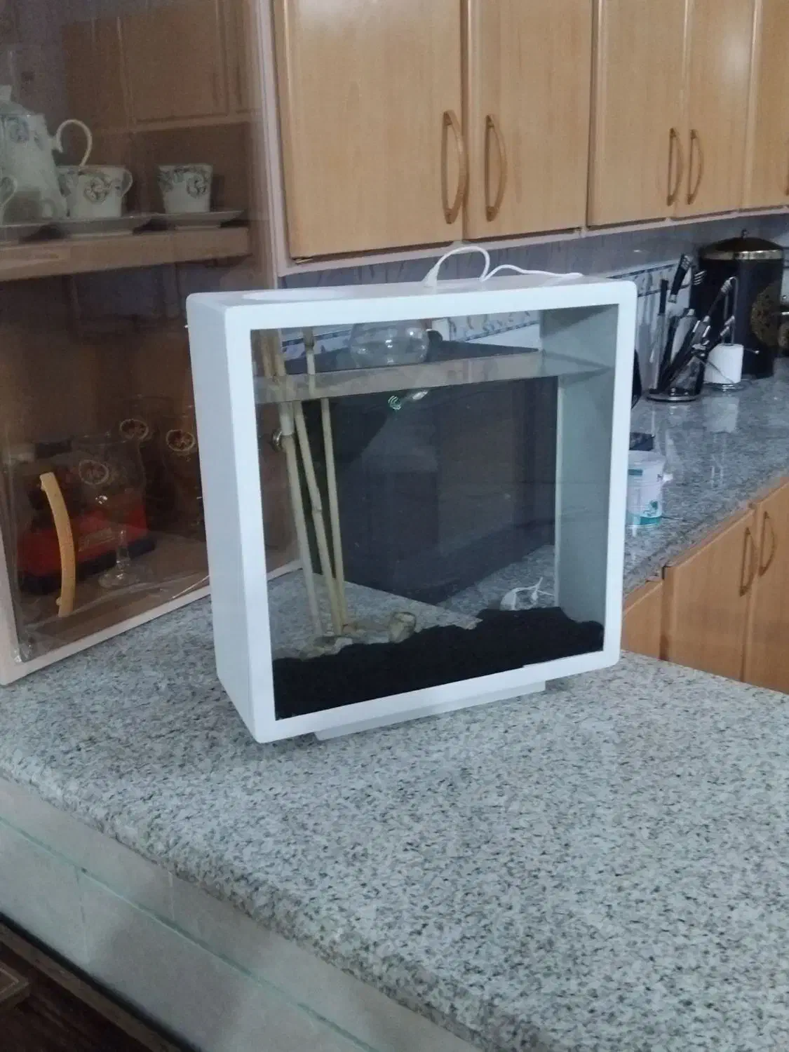 اکواریوم مدرن|ماهی|کرمان, |دیوار