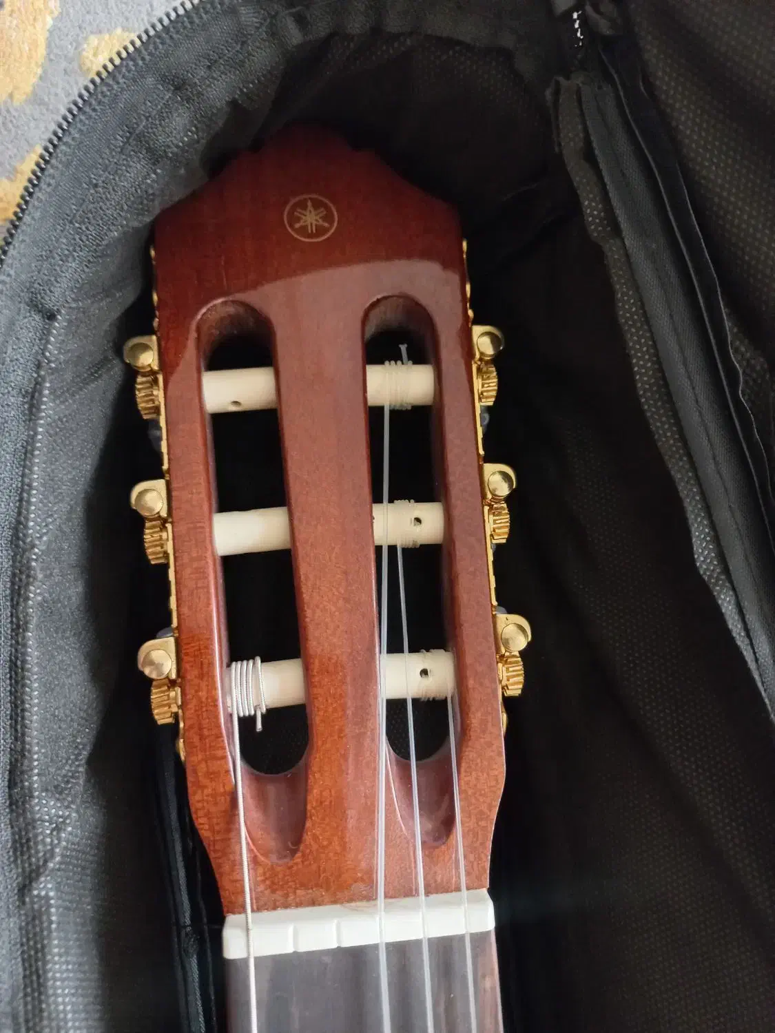 گیتار یاماها c70 اصل اندونزی|گیتار، بیس، امپلیفایر|صدرا-فارس, فاز ۱|دیوار