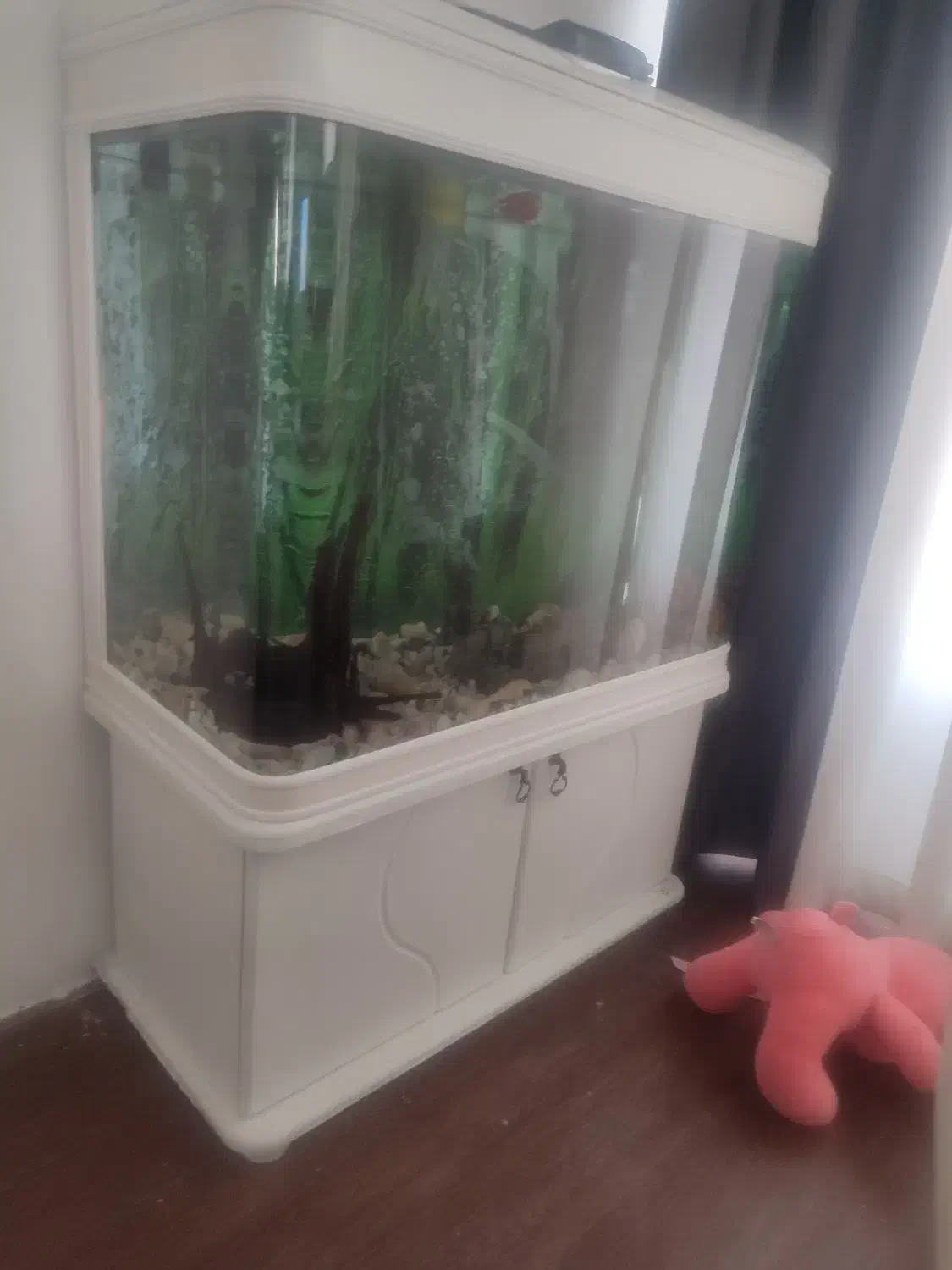 اکواریوم95/150|ماهی|تهران, جنتآباد مرکزی|دیوار