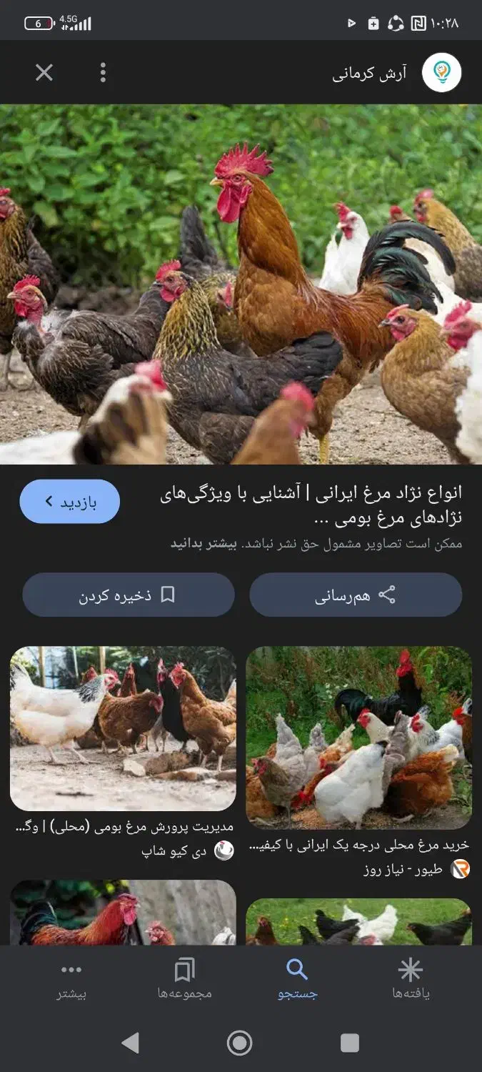 مرغ و خروس محلی|حیوانات مزرعه|جم, |دیوار