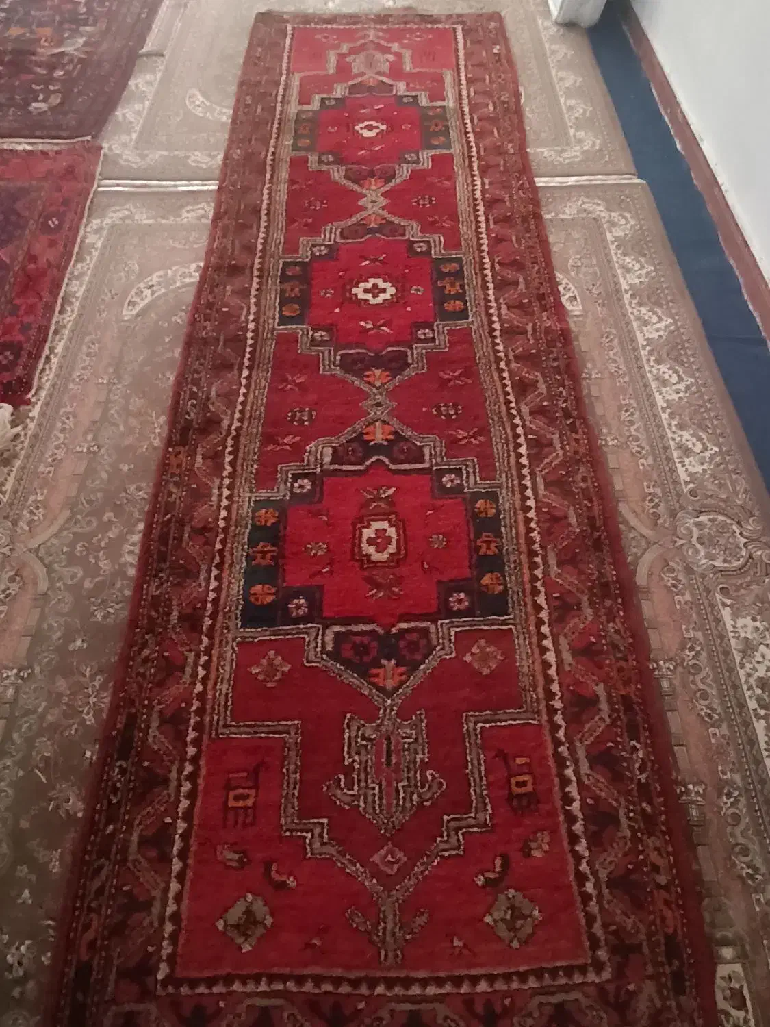 فرش دستبافت پشمی|فرش|اسفرورین, |دیوار