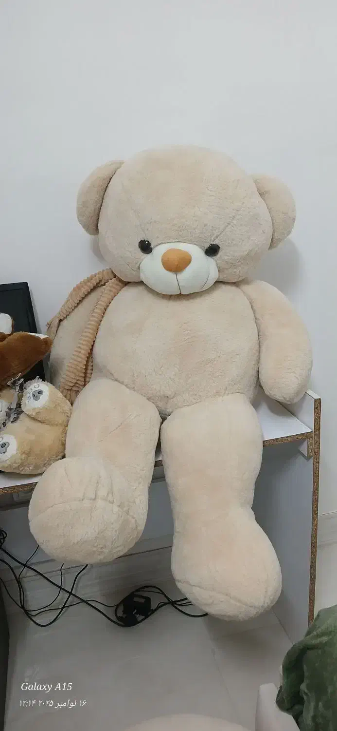 خرس بزرگ خارجی|اسباببازی|اصفهان, سرچشمه|دیوار