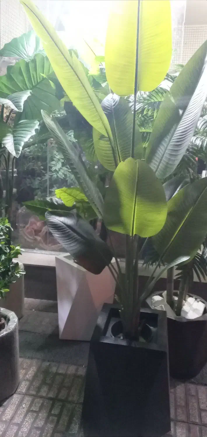 درختچه اریکا|گل مصنوعی|تهران, مشیریه|دیوار