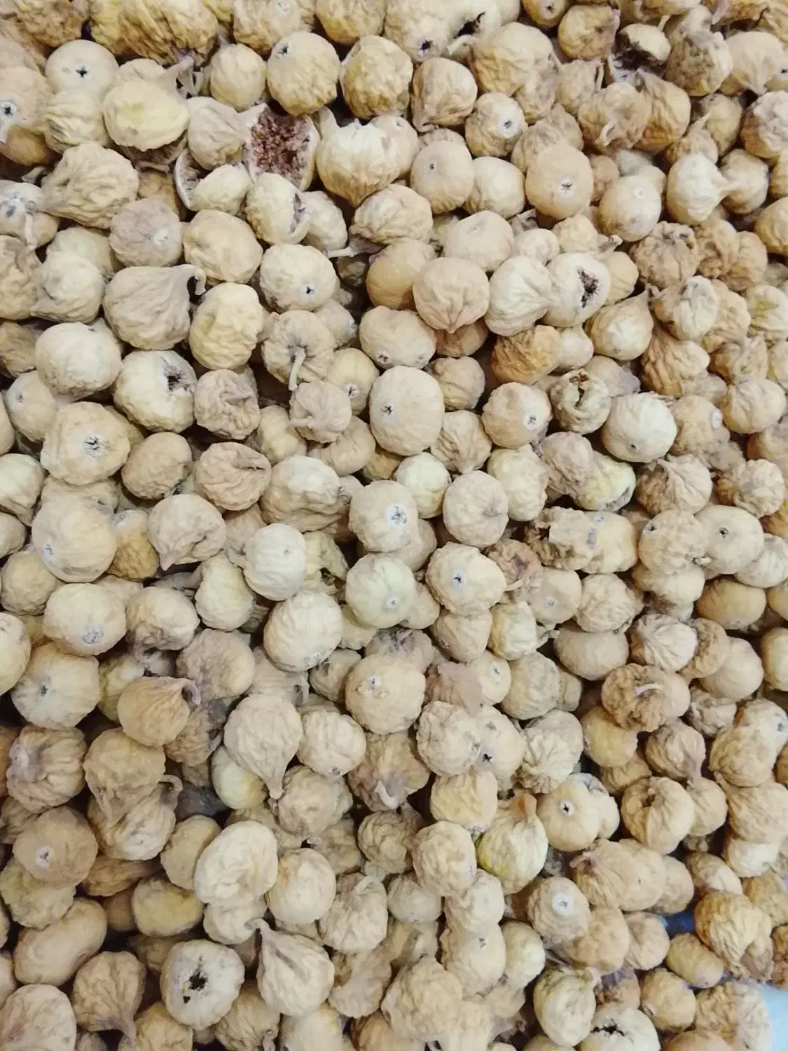 انجیر|خوردنی و آشامیدنی|داراب, |دیوار