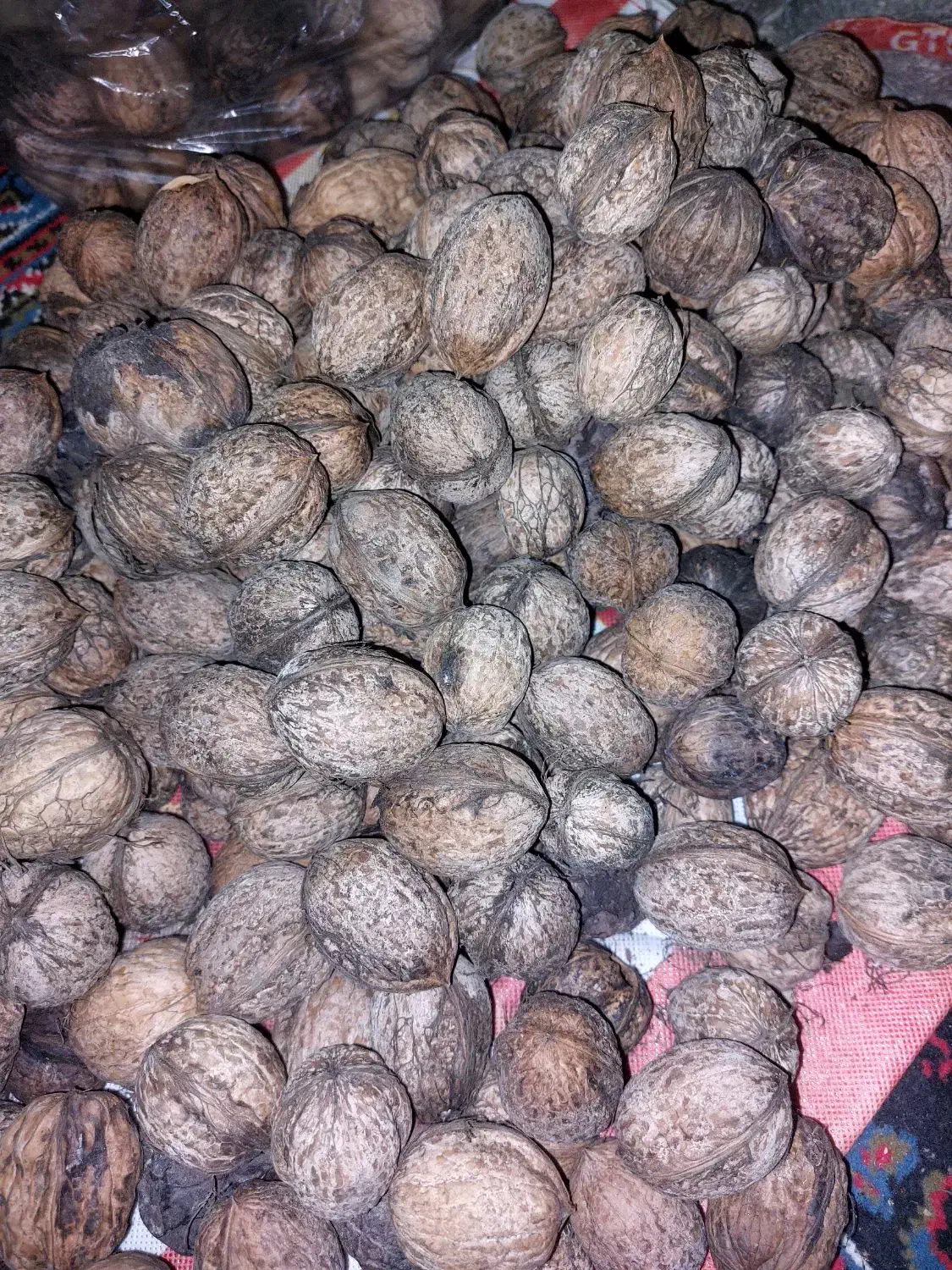 گردو درجه یک|خوردنی و آشامیدنی|مینودشت, |دیوار