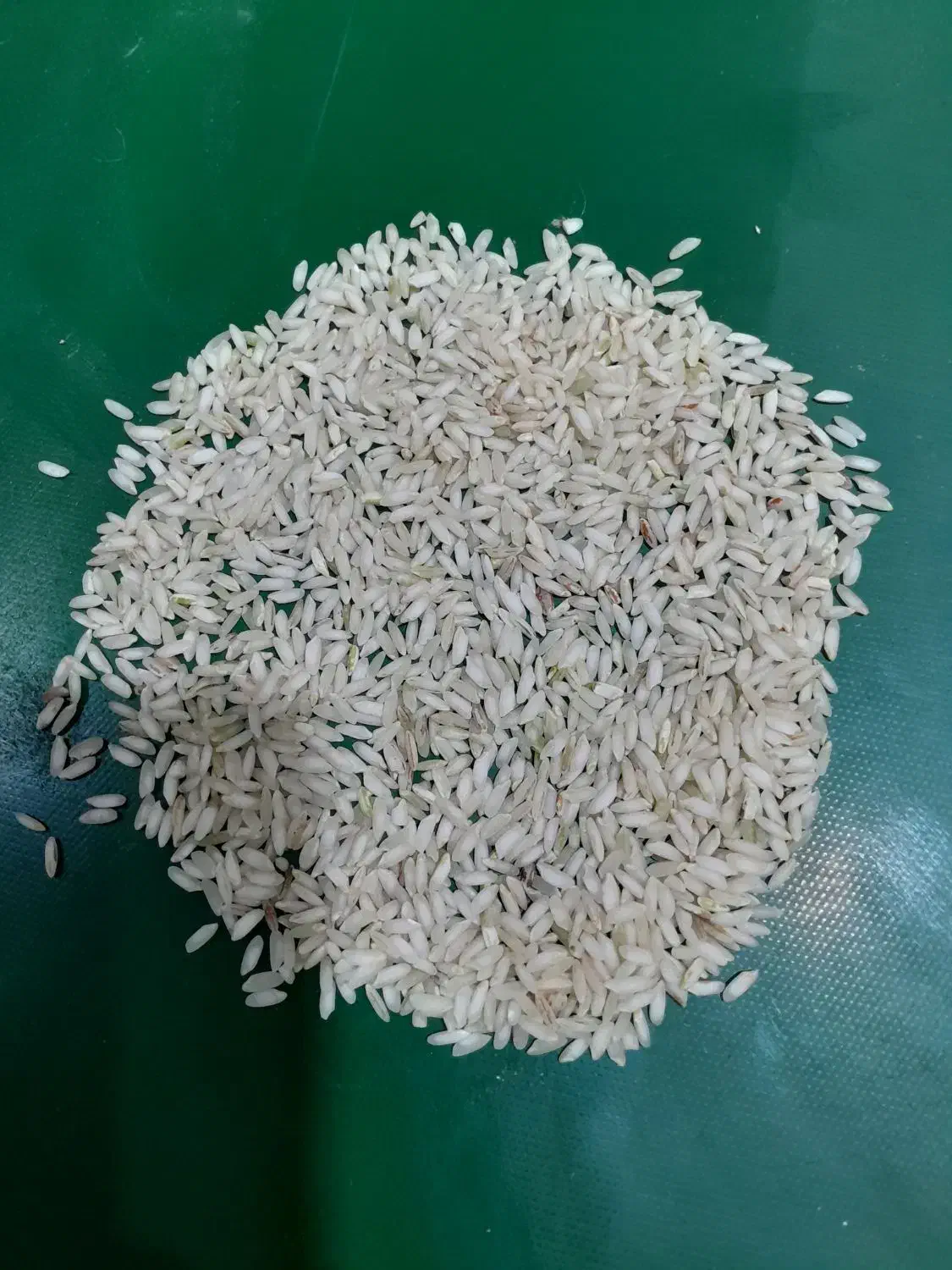 برنج عنبربو لوکس|خوردنی و آشامیدنی|شیراز, فرگاز|دیوار