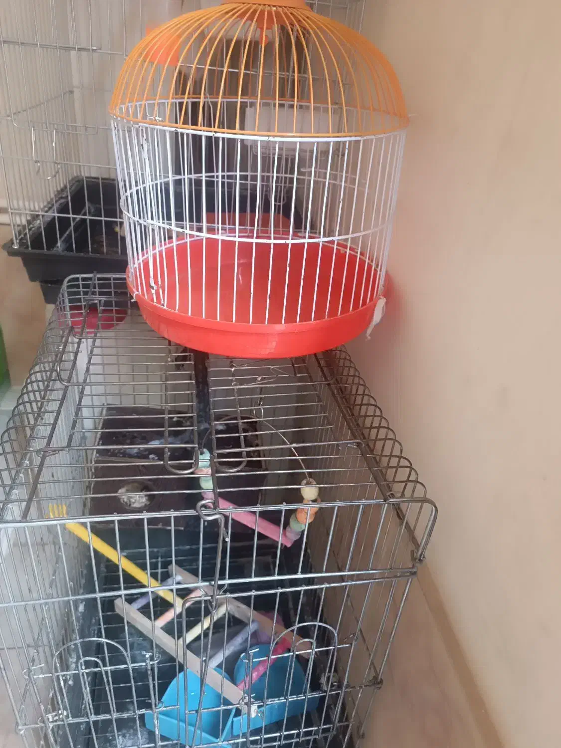 قفس پرنده|لوازم جانبی حیوانات|سنندج, |دیوار