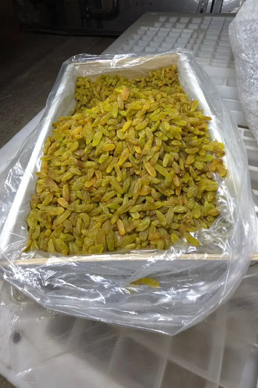 کشمش|عمده‌فروشی|شیراز, شهرک مهدیه|دیوار