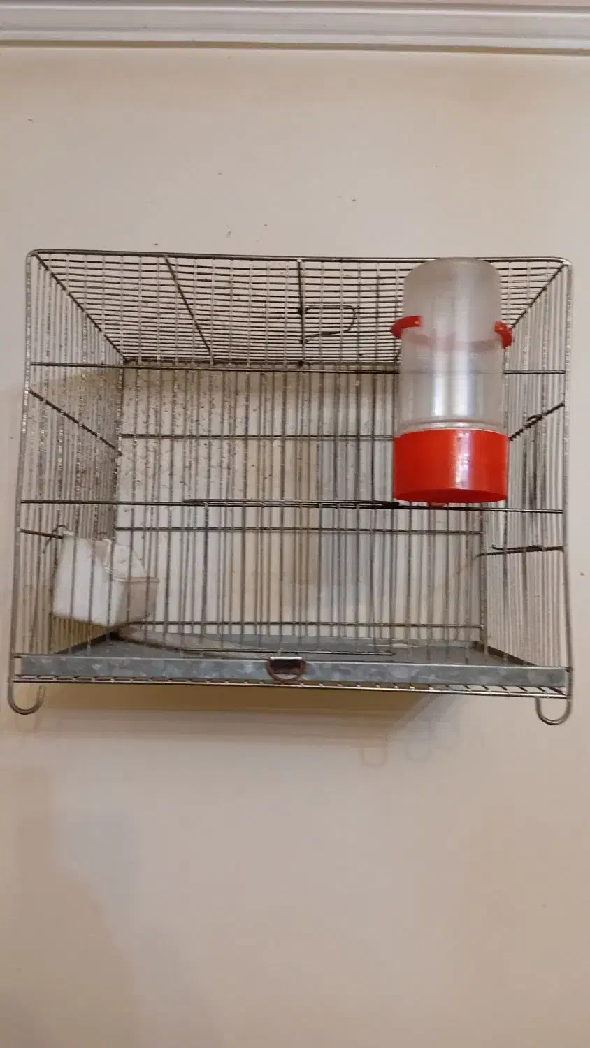 قفس پرنده|لوازم جانبی حیوانات|تهران, مینای شمالی (مخبر)|دیوار