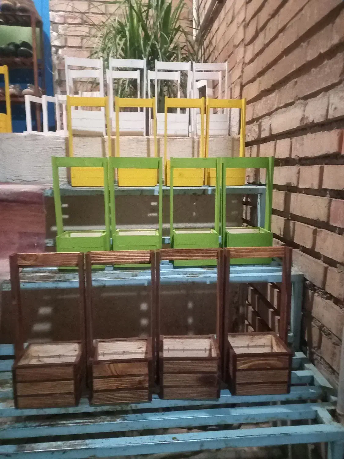 سبد و باکس گل|گل و گیاه طبیعی|تهران, ترمینال غرب|دیوار