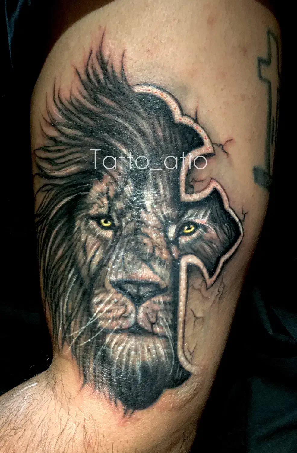 میکروابرو/میکرواسکالپ/‌رفع تیرگی لب/تتوبدن/کاورتتو|خدمات آرایشگری و زیبایی|شاهین‌شهر, حافظ شمالی|دیوار