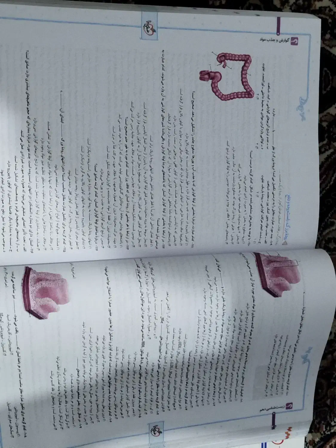 کتاب زیست دهم خیلی سبز چاپ ۱۴۰۱|کتاب و مجله آموزشی|زاهدان, |دیوار