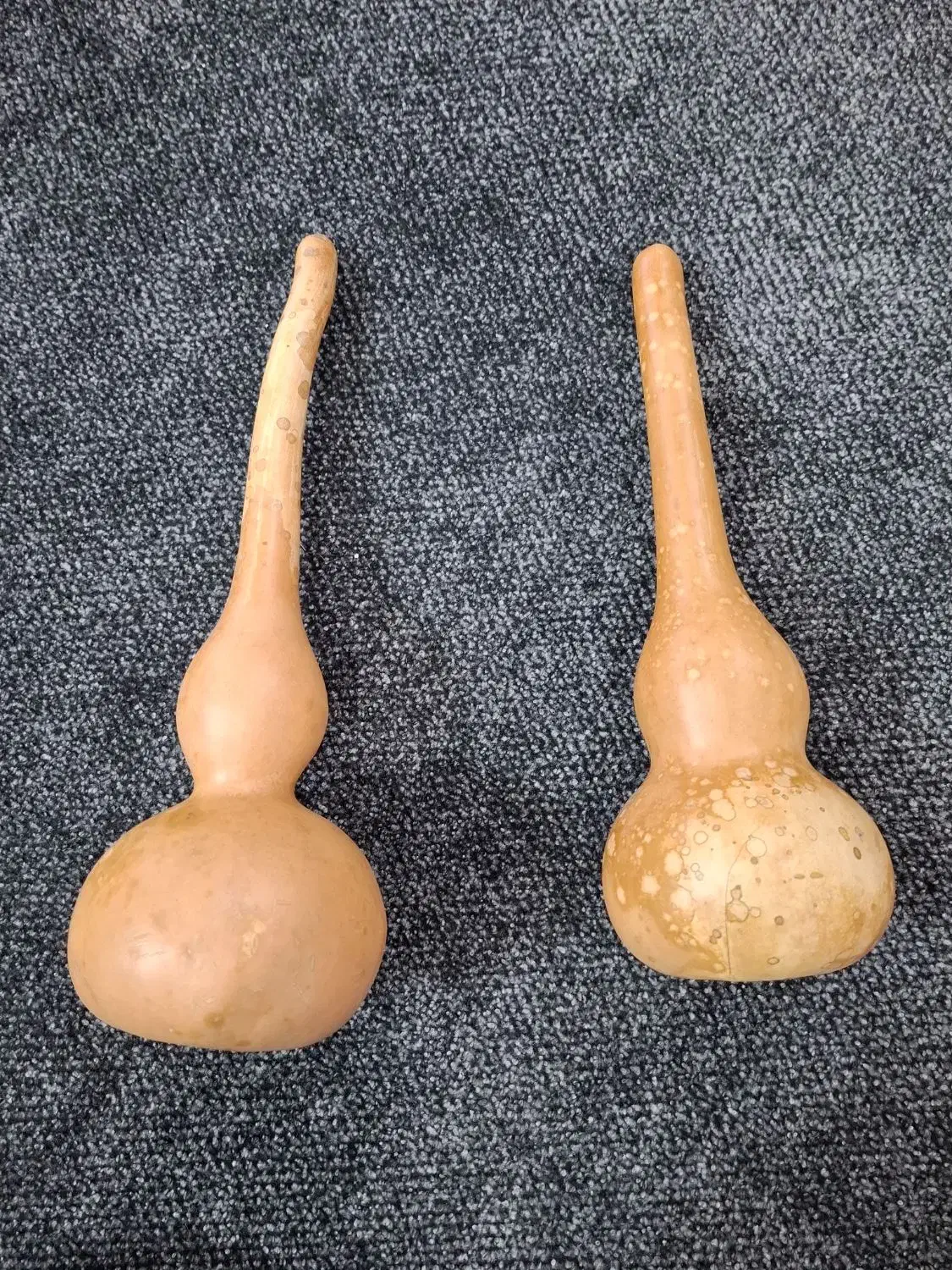 کدو و لوازم یلدا و عید|مجسمه، تندیس، ماکت|ماهدشت, |دیوار