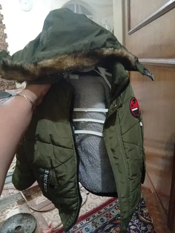 کاپشن|لباس|شیراز, سعدیه جنوبی|دیوار