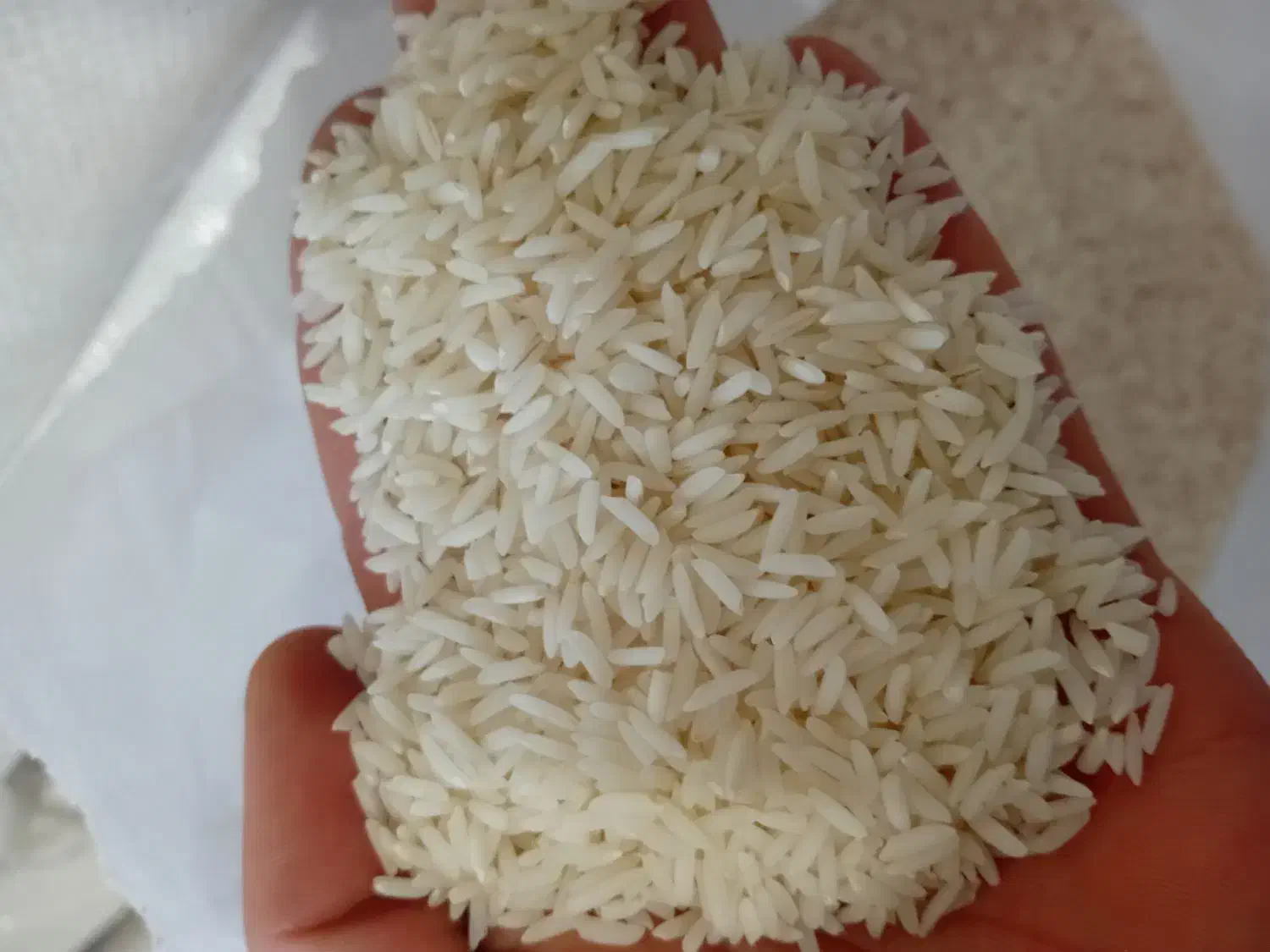 برنج هاشمی گیلان|خوردنی و آشامیدنی|صومعهسرا, |دیوار