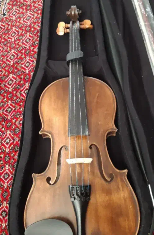 ویولن زرد|ویولن|پلدختر, |دیوار