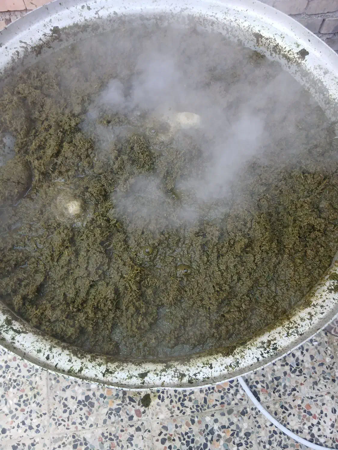 سبزی خورشتی تازه|خوردنی و آشامیدنی|اصفهان, باغ زرشک|دیوار