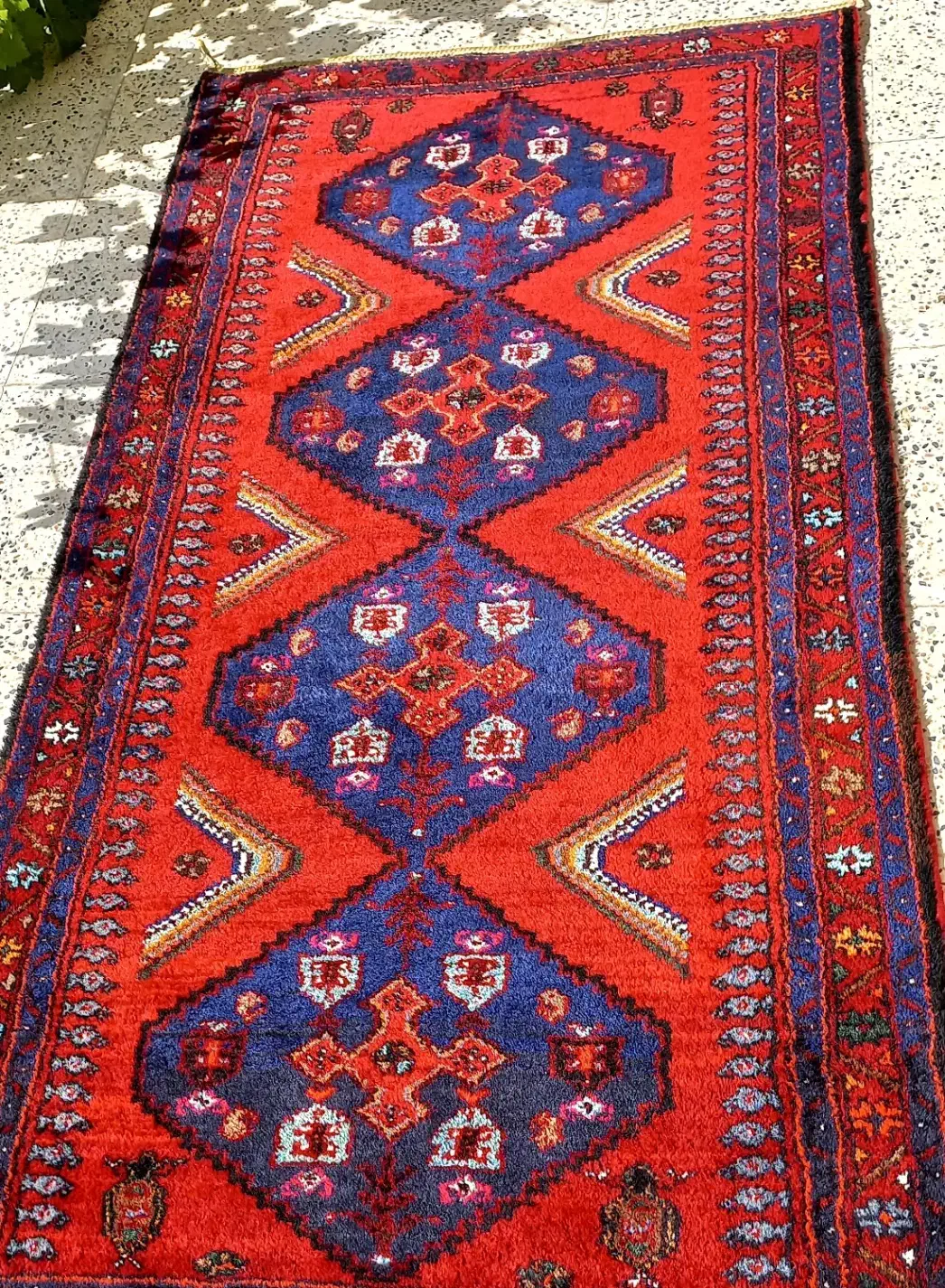 قالی دستبافت قدیمی|فرش|الوند, |دیوار