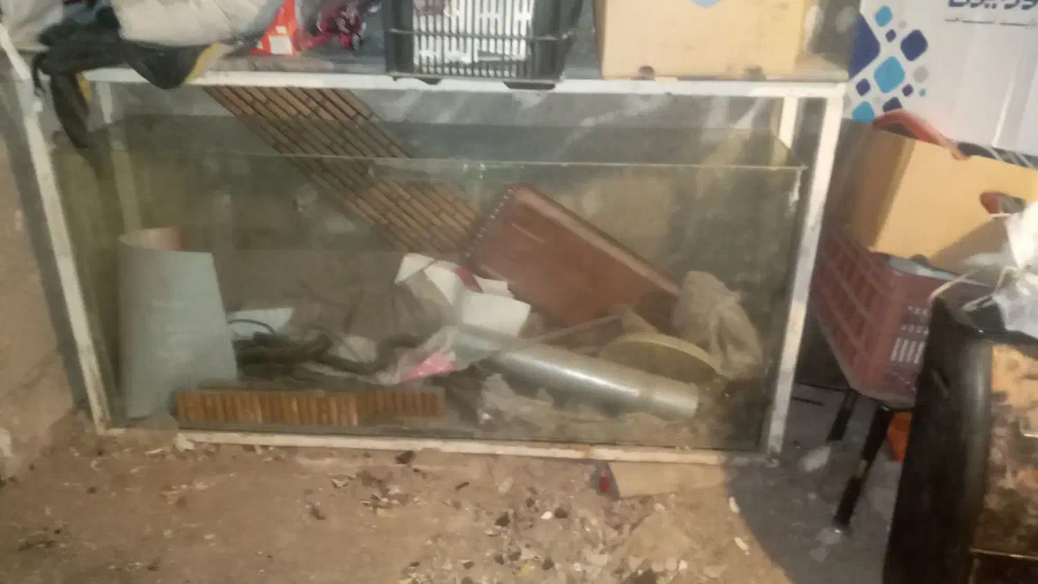 فروش یا معاوضه اکواریم بزرگ|ماهی|میانه, |دیوار