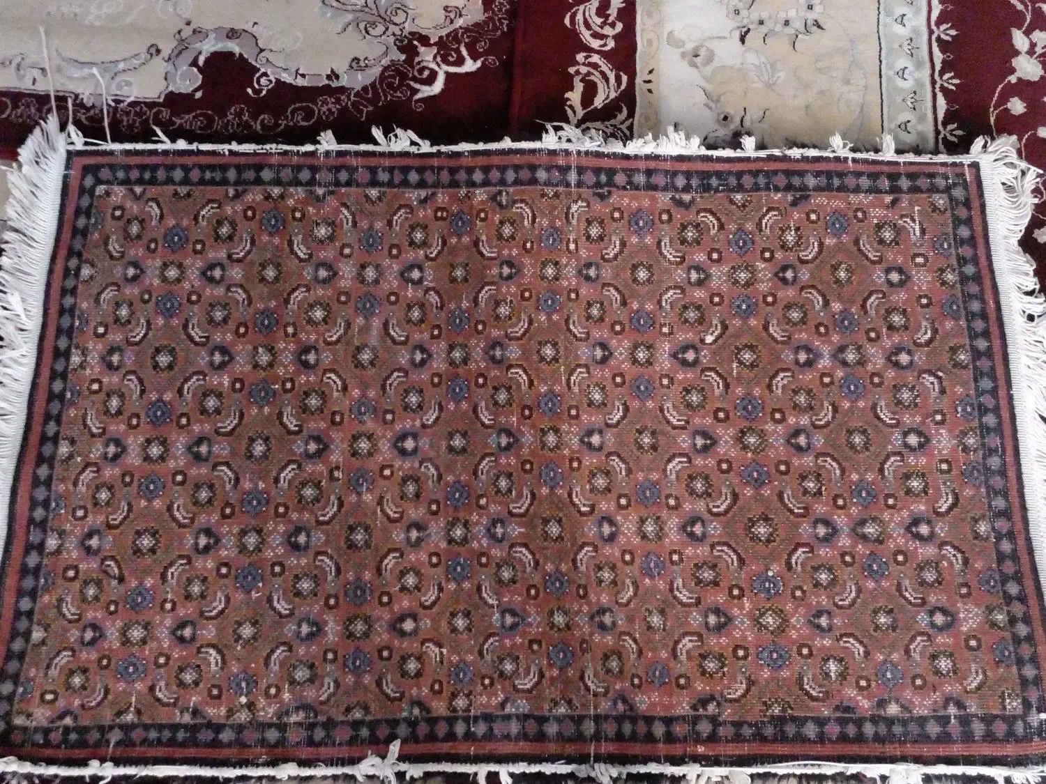 فرش دستبافت|فرش|اردبیل, |دیوار