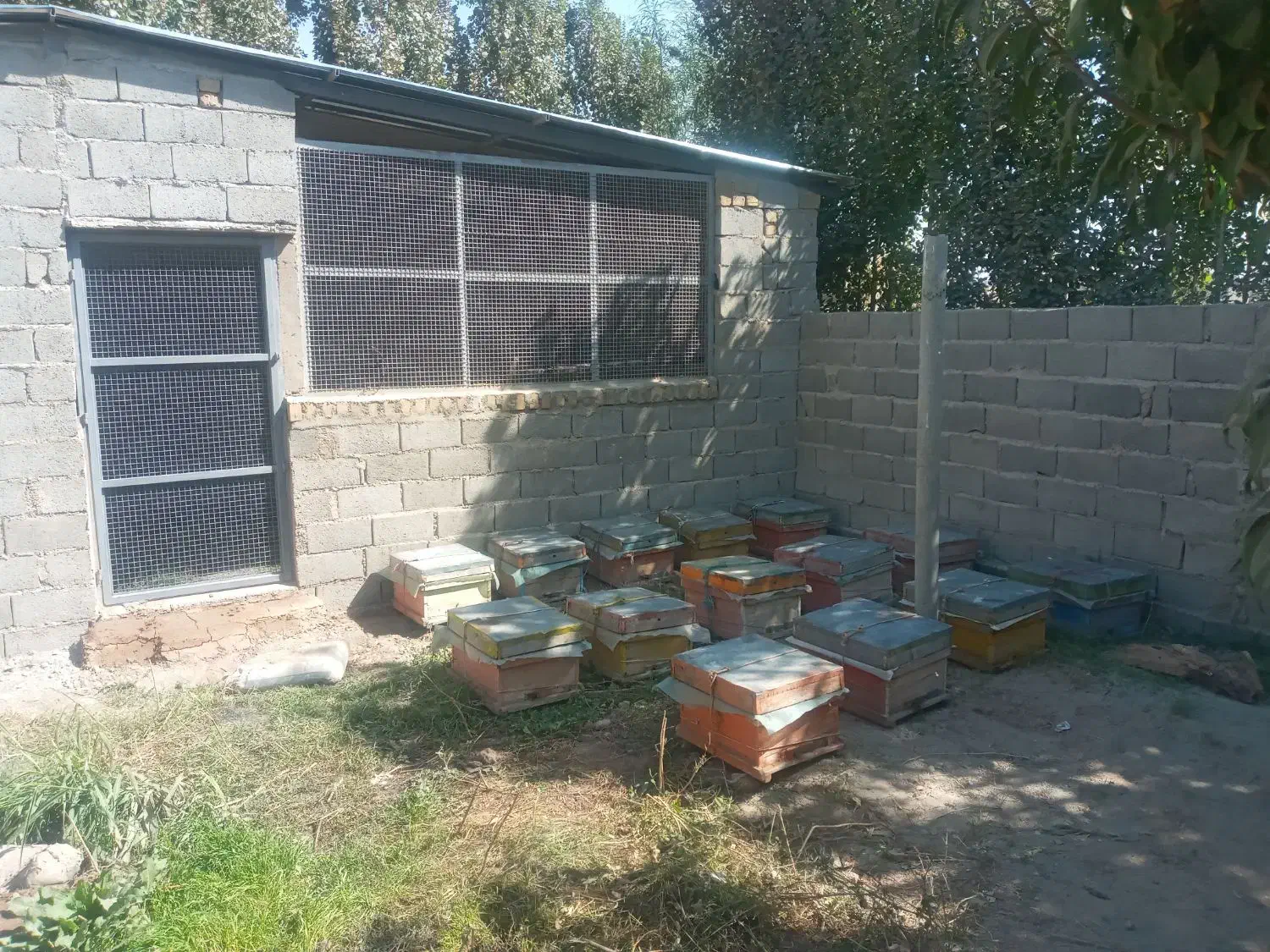 دامداری آماده مشارکت|مشارکت در ساخت املاک|هشتگرد, هشتگرد قدیم|دیوار