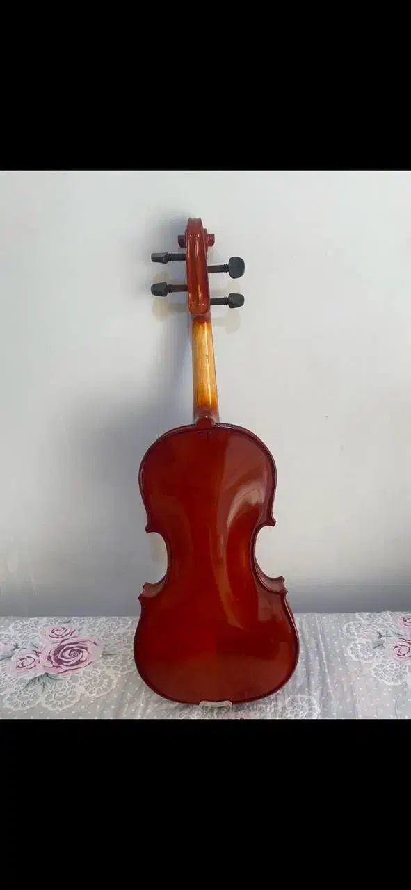 ویالون TF student|ویولن|رشت, منظریه|دیوار