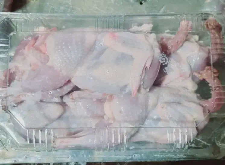 بلدرچین ارگانیک|عمده‌فروشی|بابل, |دیوار