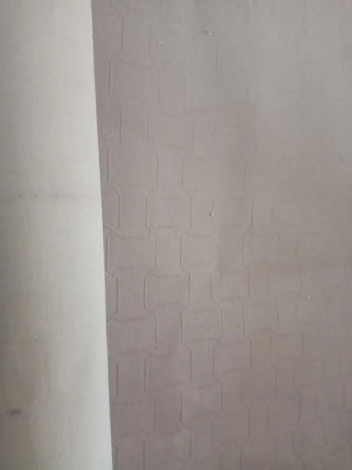 موکت|موکت|ساوه, |دیوار