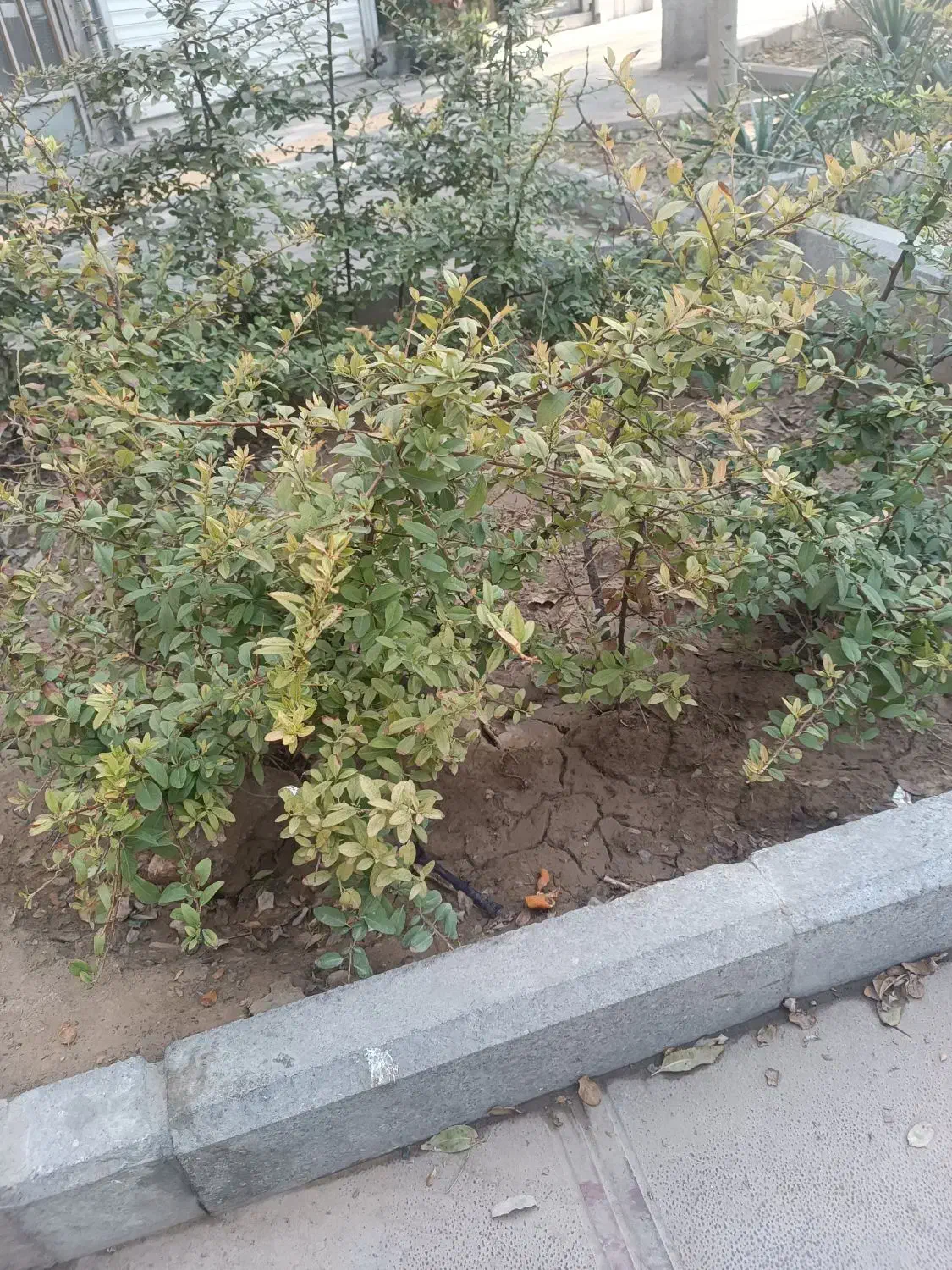 خونه فروشی متراژ ۷۰۰ متر|فروش خانه و ویلا|مشهد, ترمینال|دیوار