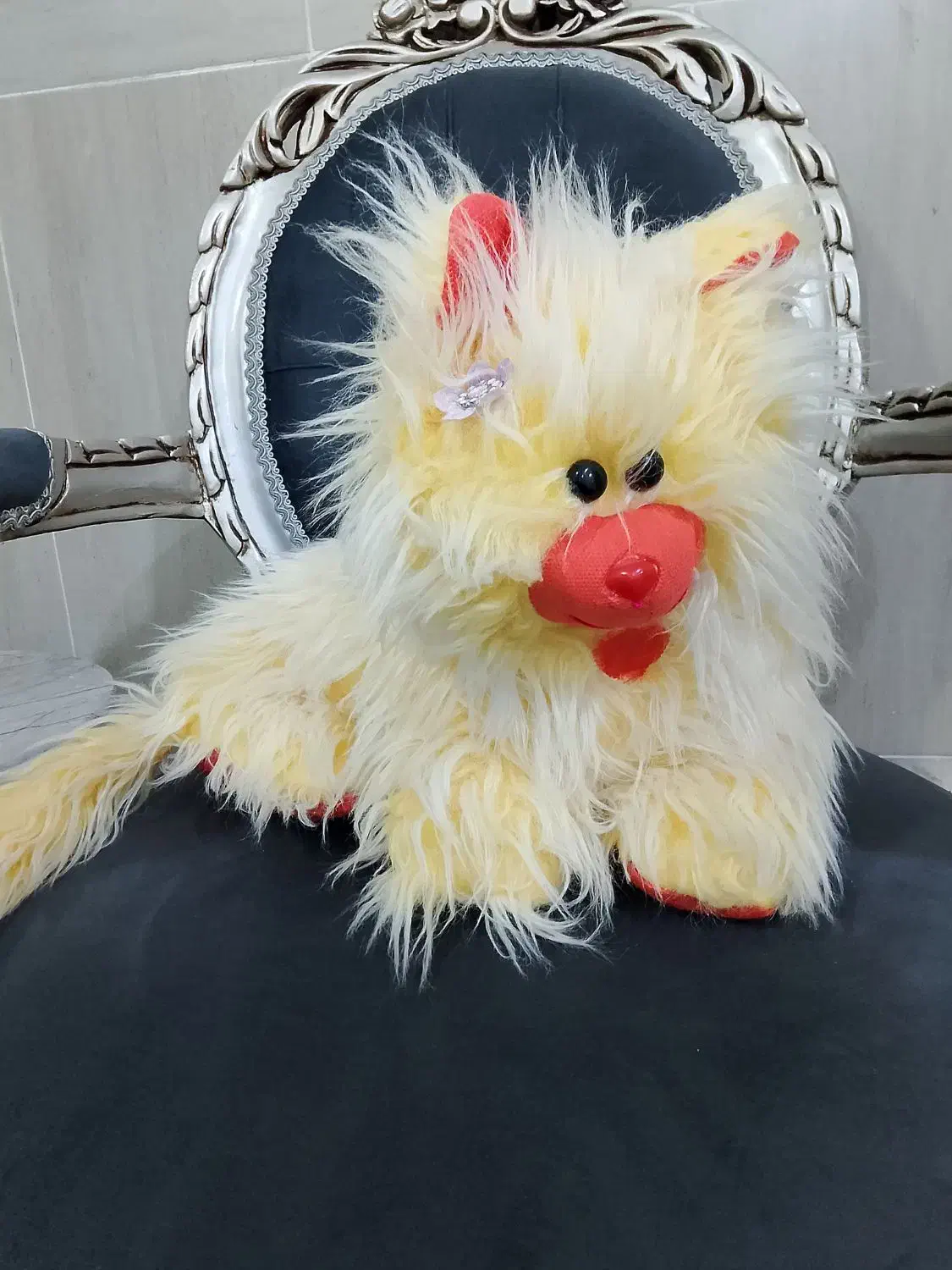 عروسک|اسباببازی بچه|گنبد کاووس, |دیوار