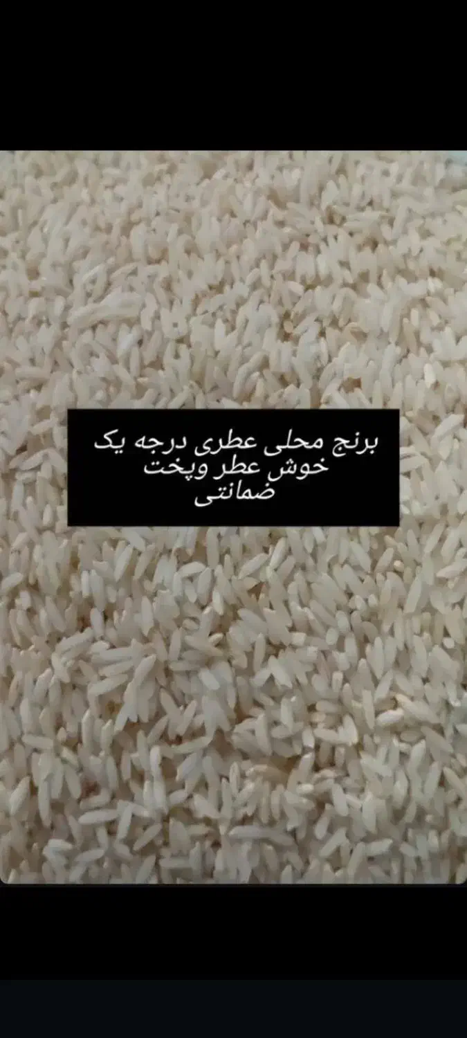 برنج محلی سالم درجه یک|خوردنی و آشامیدنی|دورود, |دیوار