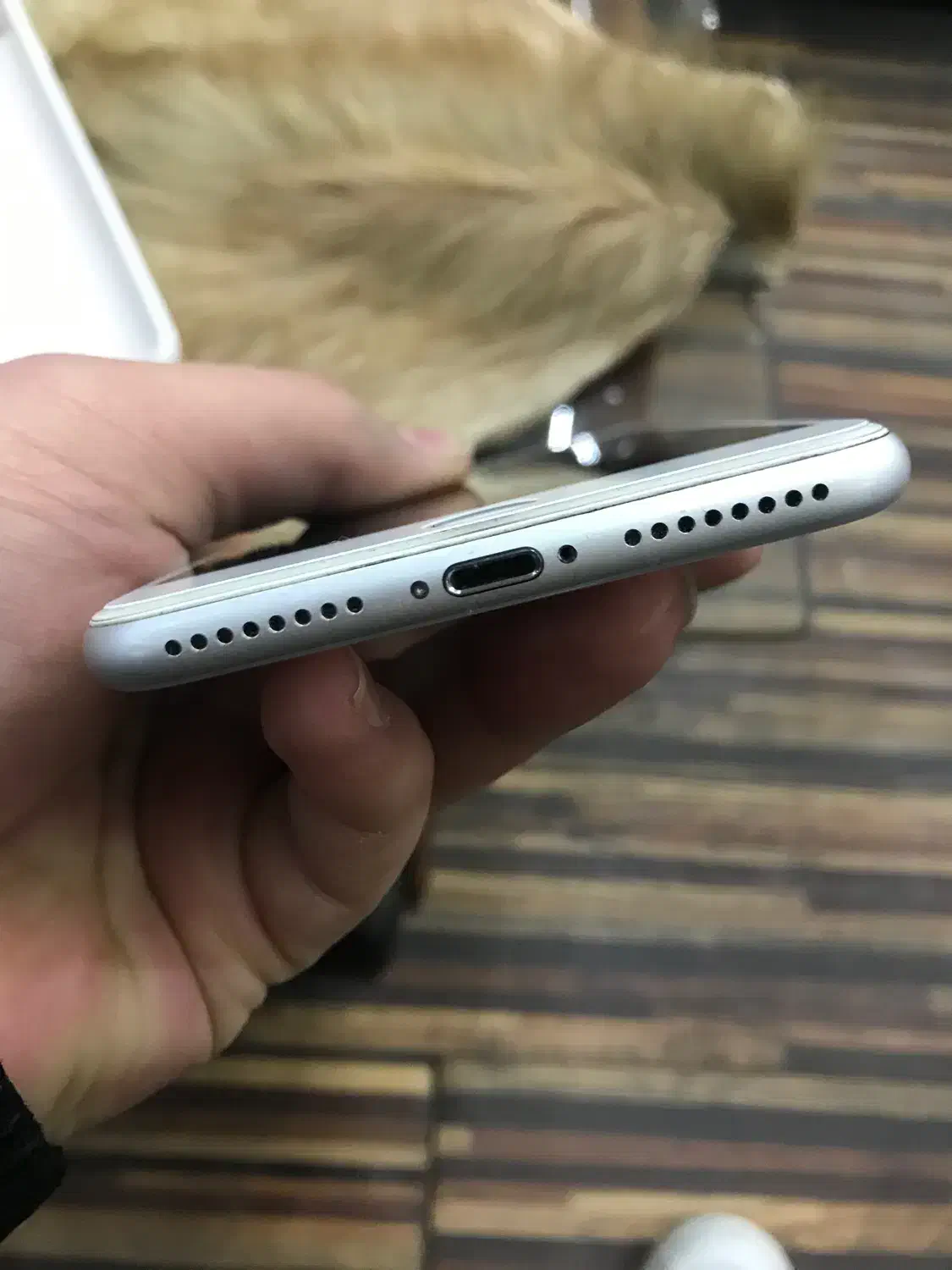 ایفون ۸پلاس|موبایل|ملارد, |دیوار