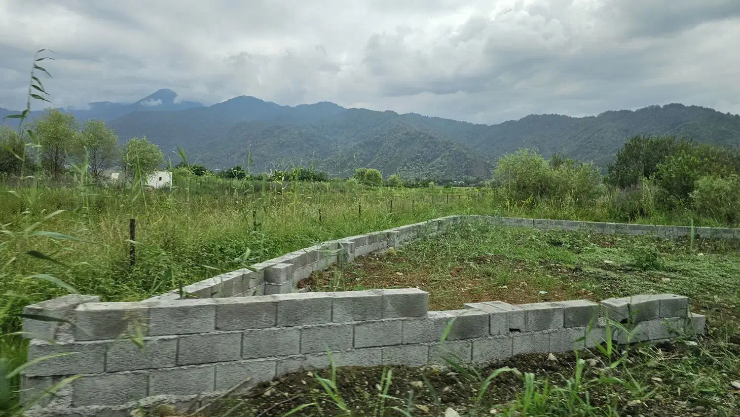 فروش زمین ۲۱۰ متری امکانات پای زمین|فروش زمین و ملک کلنگی|چابکسر, |دیوار