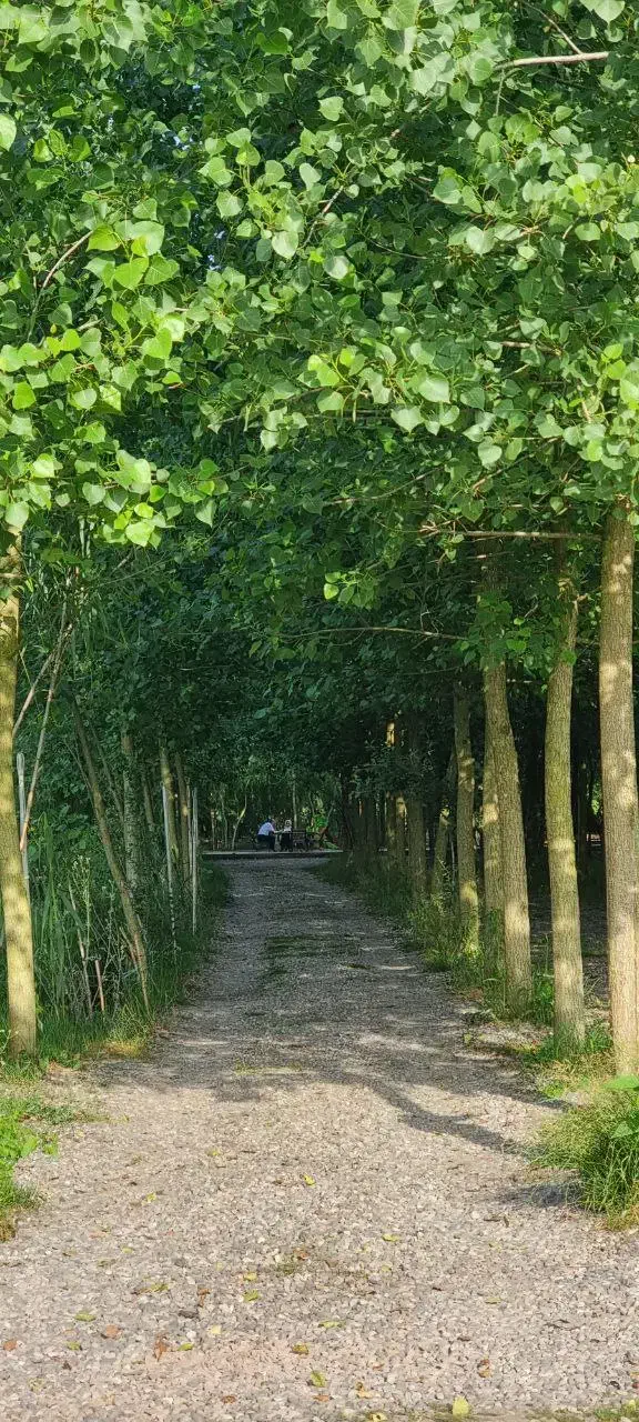 آن‌جاکه زندگی رنگ آرامش میگیرد|فروش خانه و ویلا|کاشان, فاز ۲ ناجی آباد|دیوار