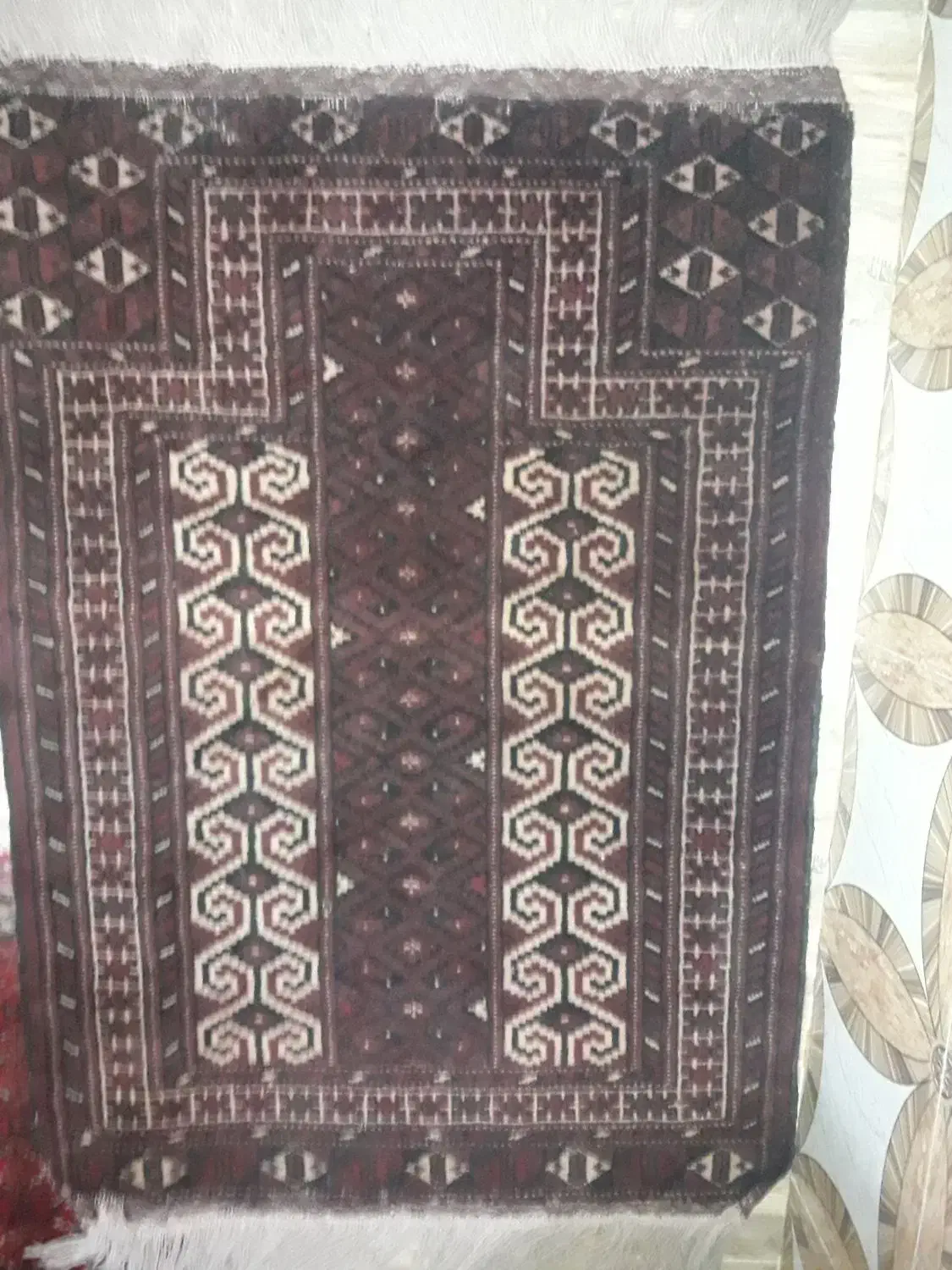 فرش دستباف قدیمی|فرش|کردکوی, |دیوار