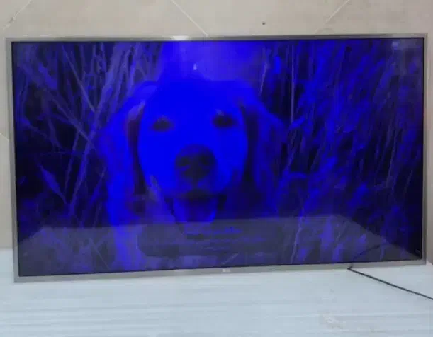 تعمیر تلویزیون در منزل|خدمات پیشه و مهارت|اسلام‌شهر, زرافشان|دیوار