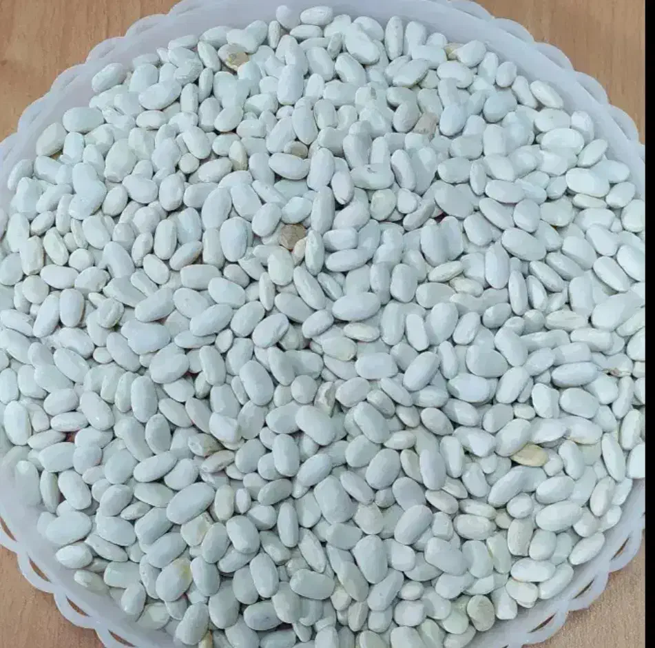 فروش ۳تن لوبیا سفید|عمدهفروشی|خانمیرزا, |دیوار