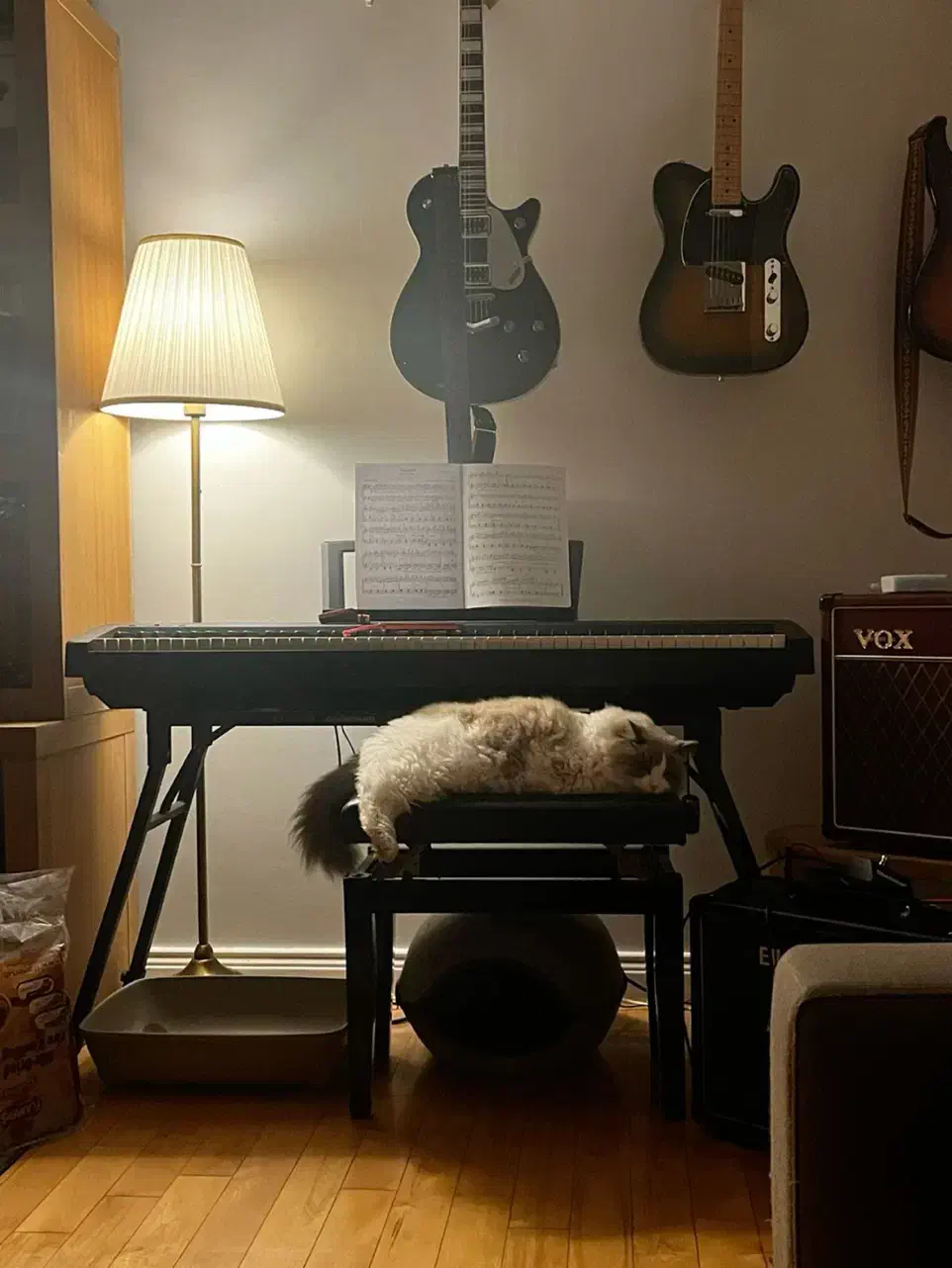 فروش و اموزش گیتار هنگدرام تمپو دف ویالن ملودیکا|خدمات آموزشی|مشهد, آزادشهر|دیوار