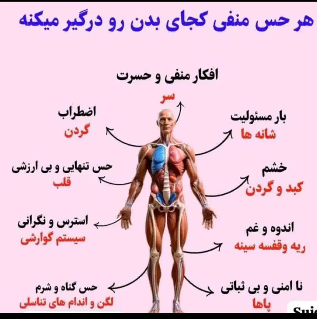 ماساژ حجامت فصد خون|خدمات آرایشگری و زیبایی|رباطکریم, نصیرشهر|دیوار