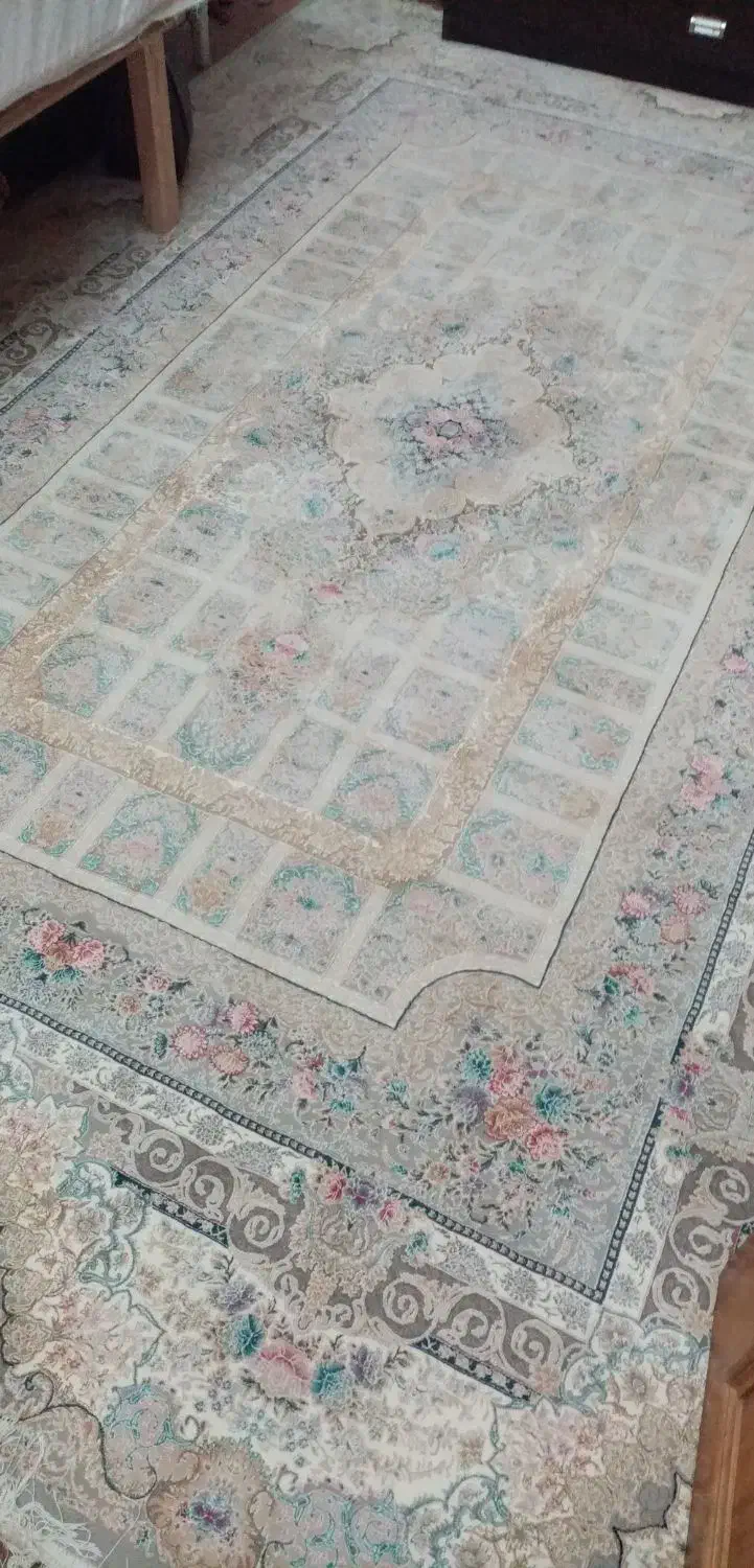 فرش نو|فرش|قم, بنیاد|دیوار