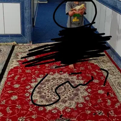 عروس هلندی ماده دربندرماهشهر|پرنده|بندر ماهشهر, |دیوار