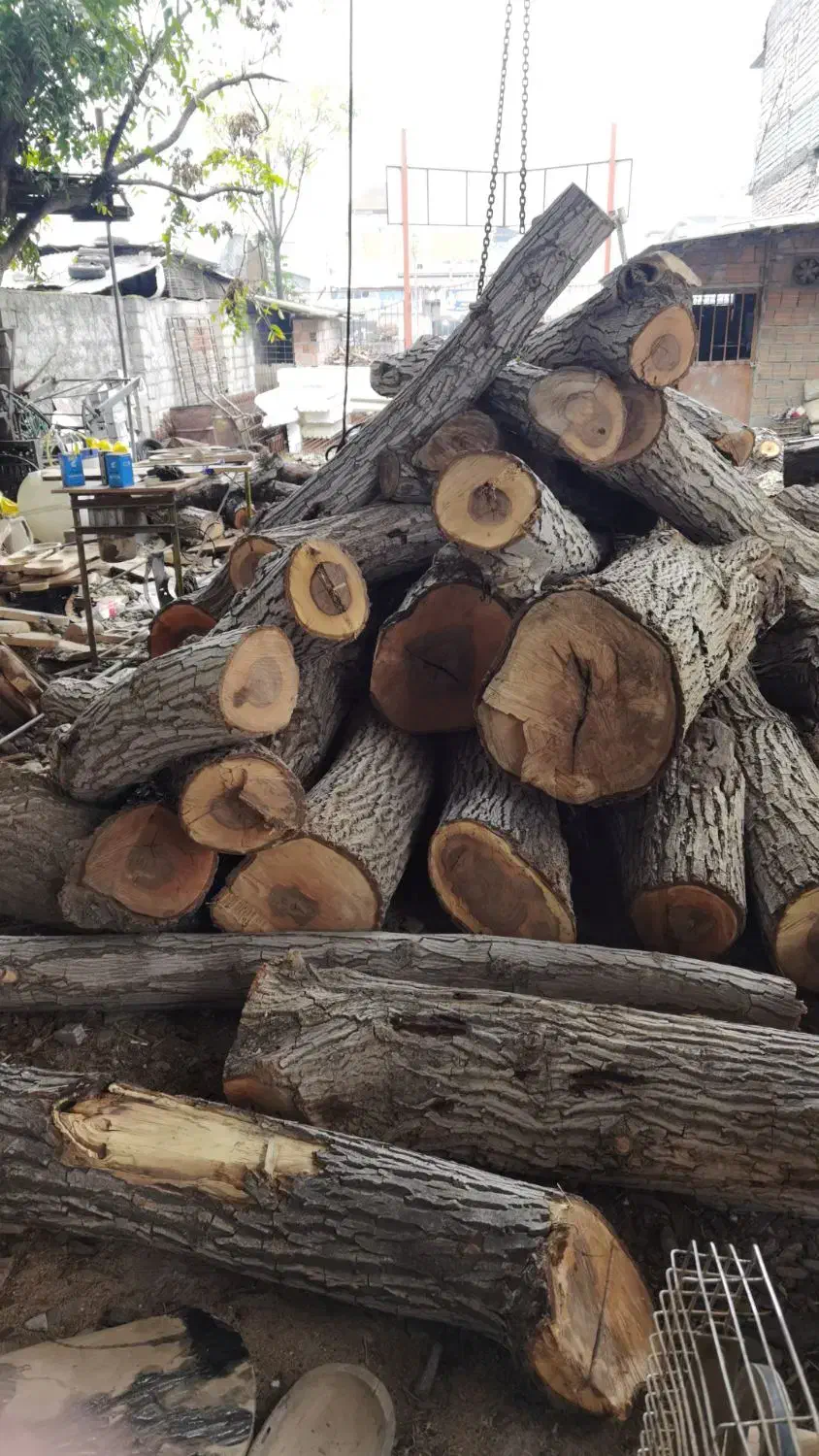 رامبری انواع چوب|عمده‌فروشی|قائم‌شهر, |دیوار