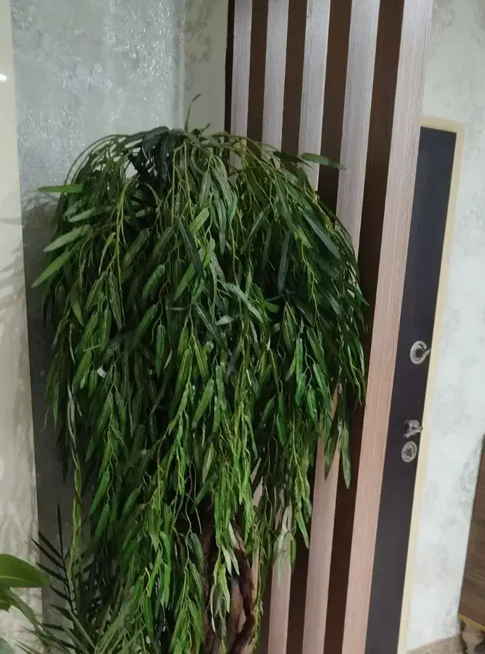 درختچه بیدمجنون|گل مصنوعی|اسلام‌شهر, شهرک واوان|دیوار