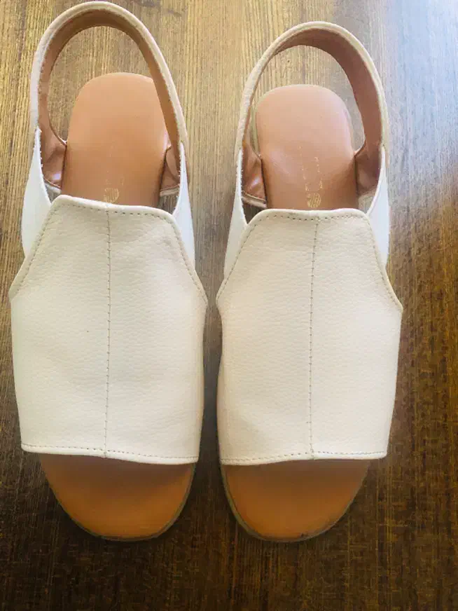 صندل|کیف، کفش، کمربند|رشت, معلم|دیوار