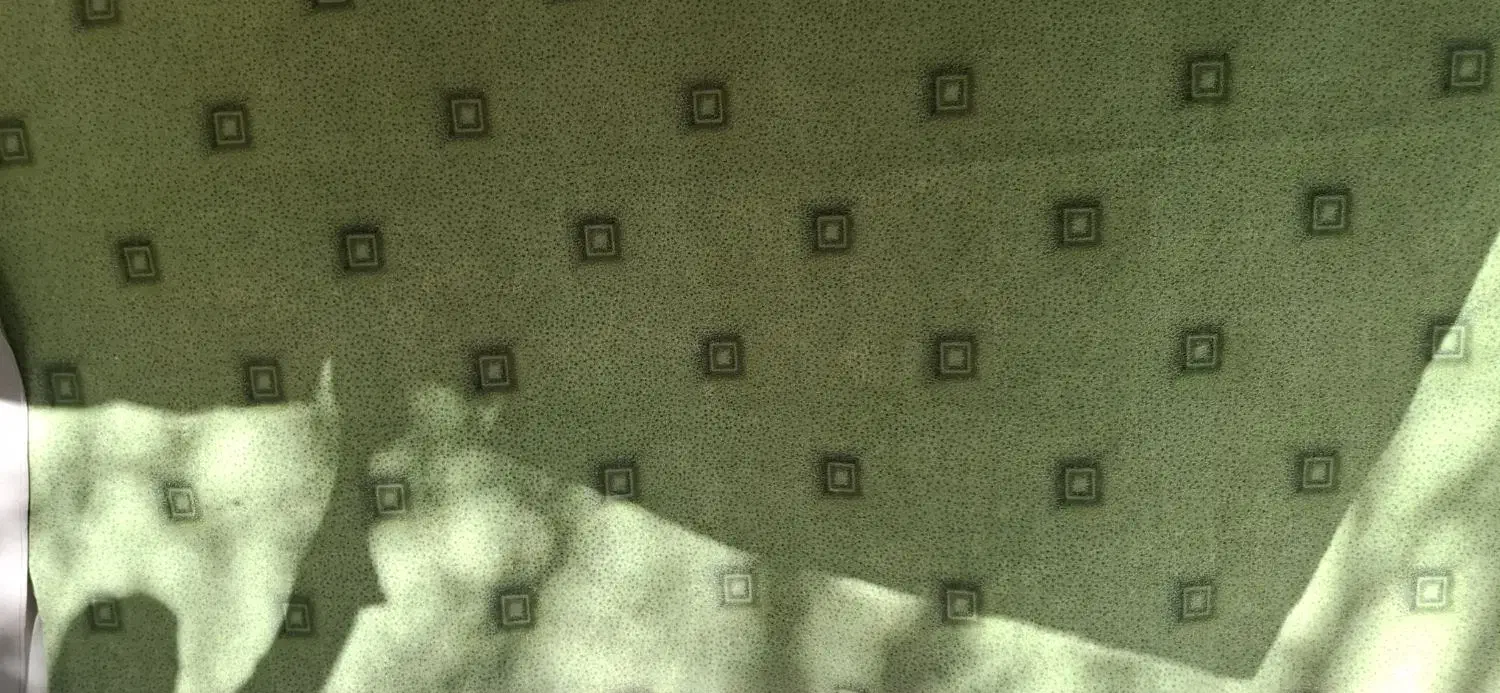 موکت دست دوم|موکت|مشهد, رضاشهر|دیوار