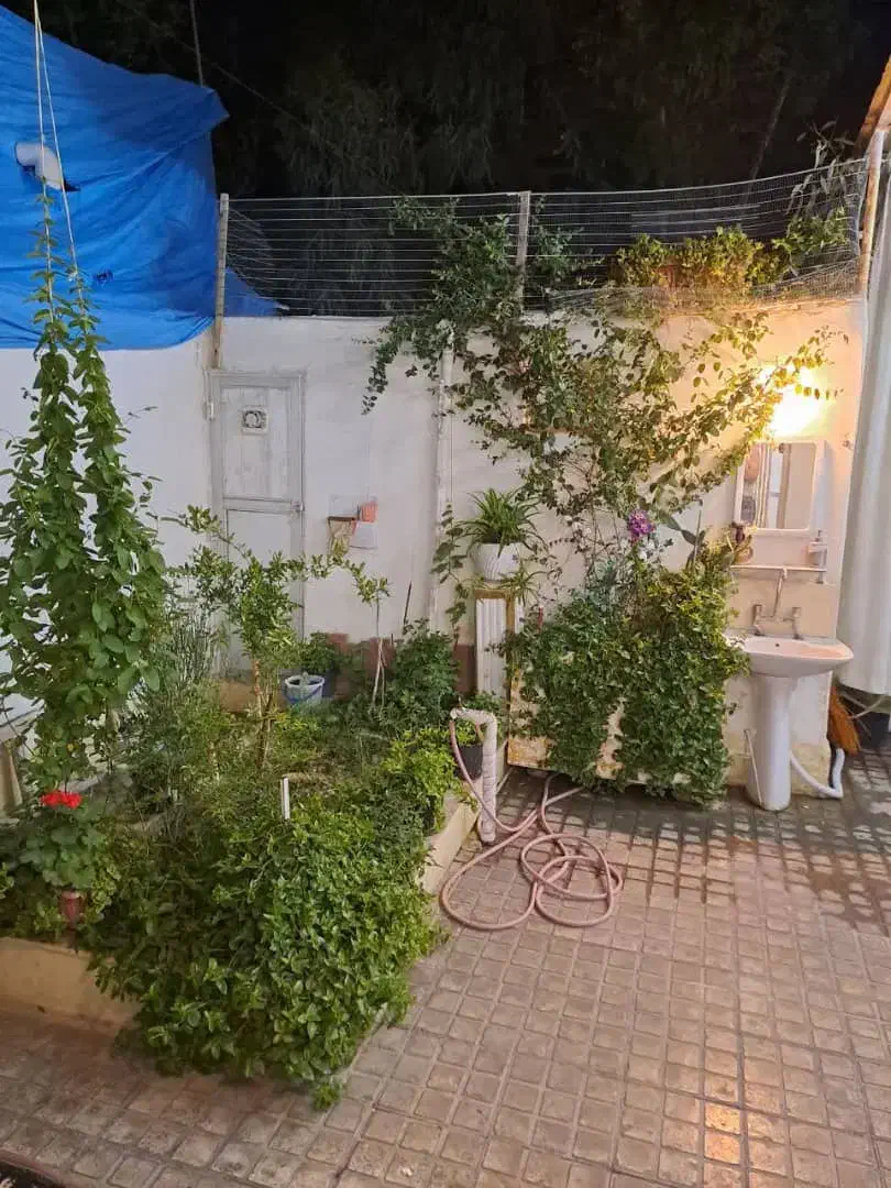 واوان میدان کمالیه کوچه یک شمالی|فروش زمین و ملک کلنگی|اسلام‌شهر, شهرک واوان|دیوار