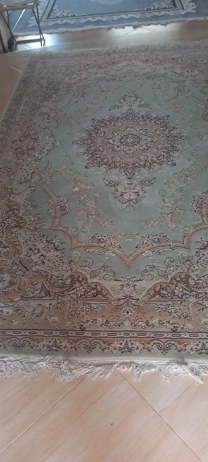 فرش ۶متری|فرش|نوشهر, |دیوار